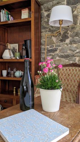 una botella de vino sentada en una mesa con una planta en La Bonne du Curé, en Annoville