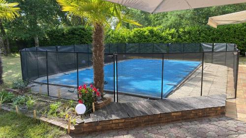uma cerca em torno de uma piscina com uma palmeira em Charmant studio em Saint-Aubin-de-Médoc