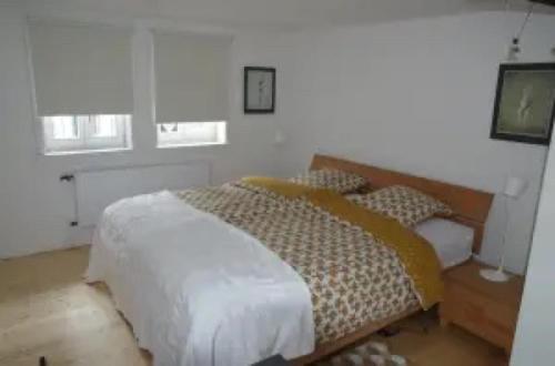 Katil atau katil-katil dalam bilik di Ferienhaus Schotten