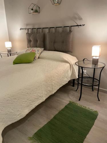 1 dormitorio con 1 cama con mesa y alfombra verde en "Il Gelso" in Villa G reco, en Tindari