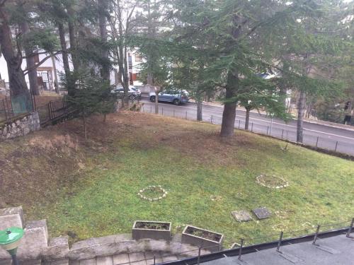 a grassy hill with a tree on the side of a street at Casetta Carlicù a Rivisondoli per 2 ospiti in Rivisondoli