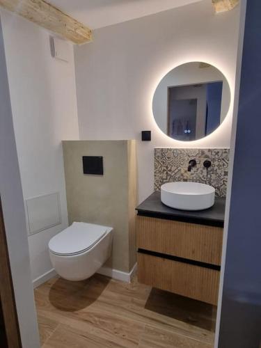 ein Badezimmer mit einem WC, einem Waschbecken und einem Spiegel in der Unterkunft Appartement la ciotat in La Ciotat