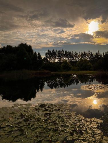 a body of water with trees and the sun setting at Schaefers' Halt in Dullstroom