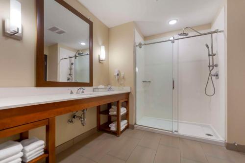 een badkamer met een wastafel en een douche bij Comfort Suites in La Vista