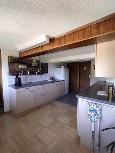 a large kitchen with a counter and a refrigerator at Ferienhaus Bergträumli Keine Zufahrt in Gommiswald