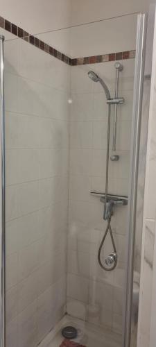 ein Bad mit Dusche und WC in der Unterkunft Appartement Ajaccio in Ajaccio