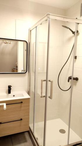 une salle de bain avec douche et lavabo dans l'établissement La cabane, entièrement rénové décoration soignée, à Vincennes