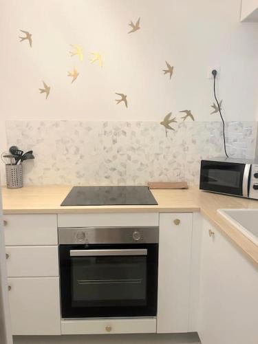 une cuisine avec une cuisinière et un comptoir avec des oiseaux sur le mur dans l'établissement La cabane, entièrement rénové décoration soignée, à Vincennes