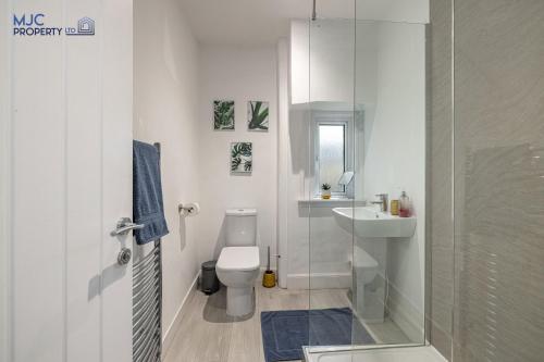 a bathroom with a toilet and a sink and a shower at Riverside in Hawick