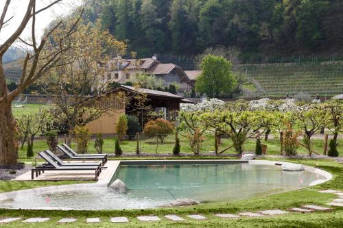 een zwembad in het midden van een tuin met een bankje bij Belia Lofts - ADULTS ONLY in Appiano sulla Strada del Vino