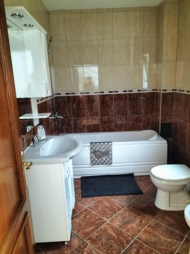 a bathroom with a tub and a toilet and a sink at Casa Emma in Vişeu de Jos