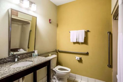 a bathroom with a toilet and a sink and a mirror at Wingate by Wyndham Owensboro in Owensboro