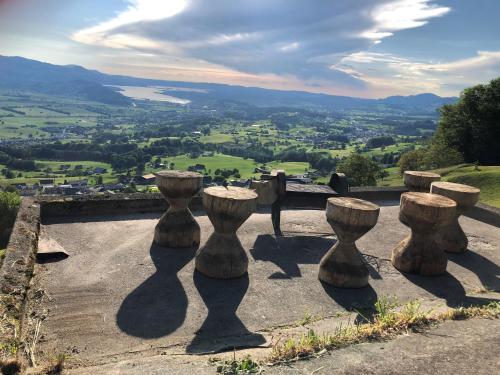 un grupo de jarrones sentados en la cima de una colina en Ferienhaus Bergträumli (Keine direkte Zufahrt), en Gommiswald