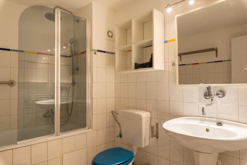 a bathroom with a toilet and a sink and a shower at Sun Valley Apartments in Maishofen