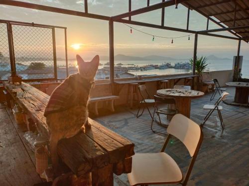 a statue of a cat sitting on a wooden bench at Sattahiptale Boutique Guesthouse & Hostel in Sattahip
