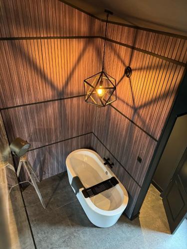 Baño con aseo en la esquina de una habitación en Luxury Loft, en Velddriel