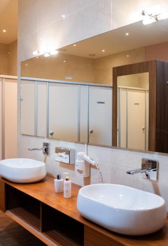 Baron Tavernier Hotel Restaurant & SPAにあるバスルーム