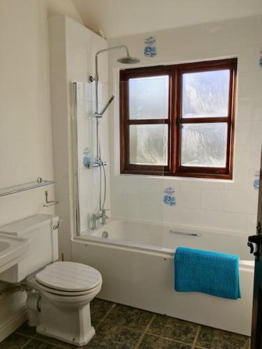a bathroom with a toilet and a tub and a window at Siblyback Cottage in Launceston