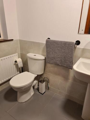 a bathroom with a white toilet and a sink at m040, Geesala in Geesala