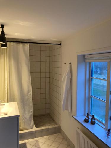 baño con ducha, lavabo y ventana en BNB Schweizerhuset en Ringsted