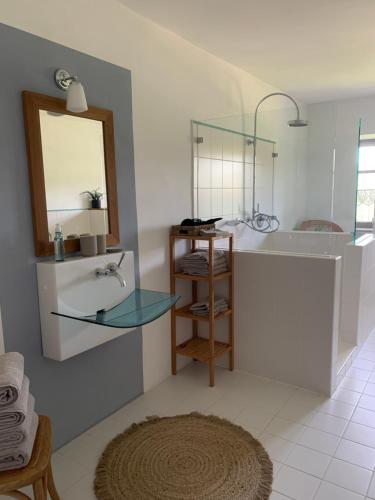 a bathroom with a glass sink and a mirror at Am Schafhof in Velburg