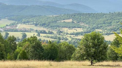 a tree in a field with mountains in the background at Къща за гости Светулките Fireflies Guest House 