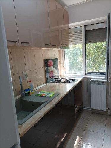 eine Küche mit einer Spüle und einer Arbeitsplatte in der Unterkunft Apartament amy in Mangalia