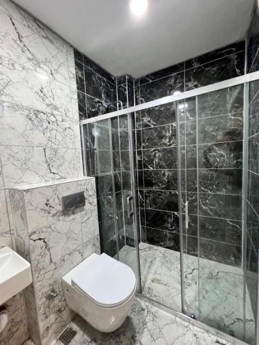 La salle de bains est pourvue de toilettes et d'une douche en verre. dans l'établissement GÖKOTTA HOTEL, à Istanbul