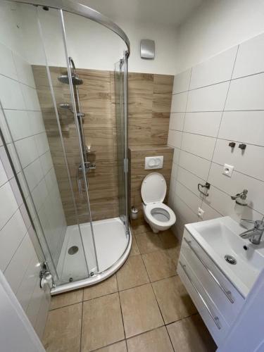 a bathroom with a shower and a toilet and a sink at Apartmán Stupava in Stupava