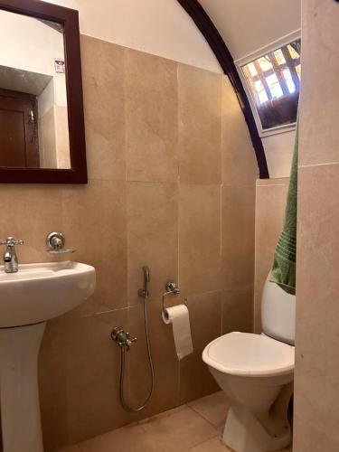 een badkamer met een wastafel, een toilet en een spiegel bij Thara's Houseboat in Alleppey