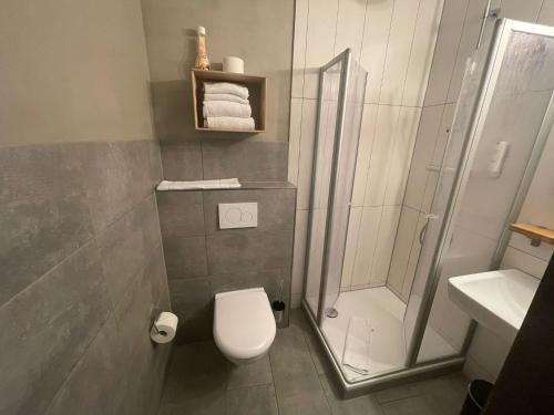 a bathroom with a shower and a toilet and a sink at KobyApartment TinyHaus in Herford