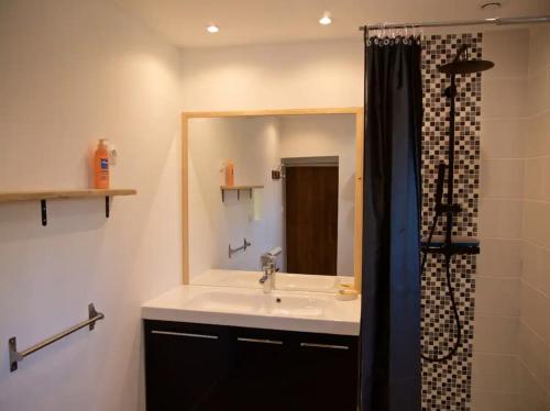 a bathroom with a sink and a shower with a mirror at Le soleil couchant en Périgord in La Gonterie-Boulouneix