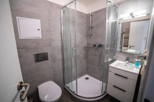 a bathroom with a shower and a toilet and a sink at Hotelový Dům in Olomouc