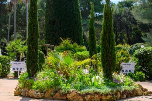 a garden with trees and flowers and plants at Le studio de giens in Hyères