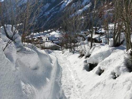 eine schneebedeckte Straße mit Bäumen und Häusern in der Unterkunft Le Sorelle Apartments 2 in Ferden