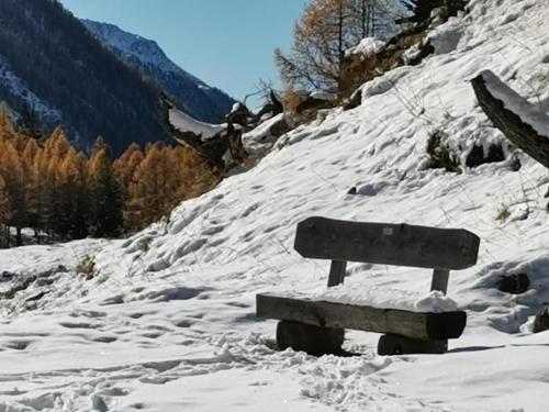 a bench sitting on top of a snow covered mountain at Le Sorelle Apartments 2 in Ferden