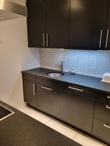 eine Küche mit einem Waschbecken und schwarzen Schränken in der Unterkunft Elegant Suites Murten in Murten
