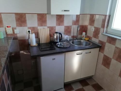 Η κουζίνα ή μικρή κουζίνα στο Sarajevo Holiday Apartments 1