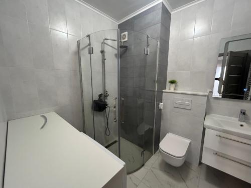 La salle de bains est pourvue d'une douche, de toilettes et d'un lavabo. dans l'établissement Risen, à Floreşti