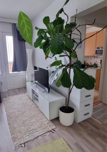 uma sala de estar com um vaso de plantas sobre uma secretária em Linnankatu Apartment em Savonlinna