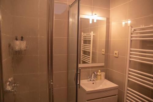uma casa de banho com um chuveiro, um lavatório e um espelho. em Cosy Historical House in Lamego - Quinta do Cabo em Lamego
