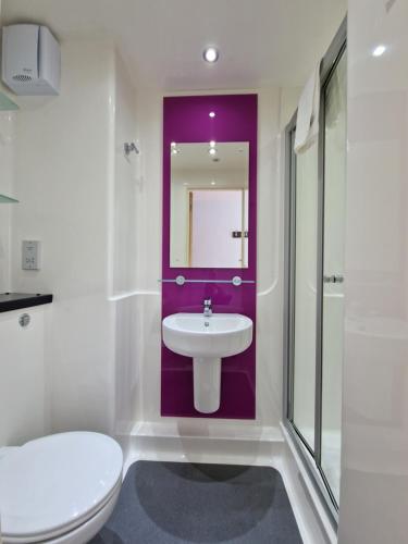 a bathroom with a sink and a toilet and a mirror at Vitality Hotels in Birmingham