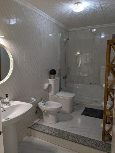 a bathroom with a toilet and a sink and a shower at ALCANAR DEL MAR in Les Cases d'Alcanar