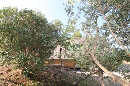 un banc en bois au milieu des arbres dans l'établissement Glamping San Bart, à San Vincenzo