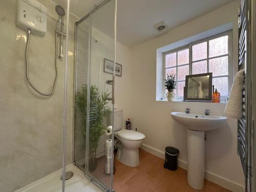 a bathroom with a shower and a toilet and a sink at Land Of Green Ginger Apartment- City Centre in Hull