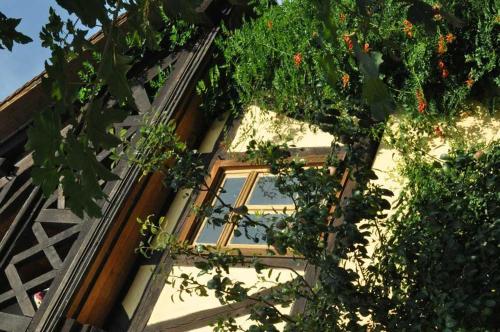 Jardín al aire libre en Gästezimmer - Fuhrhalterei Maul