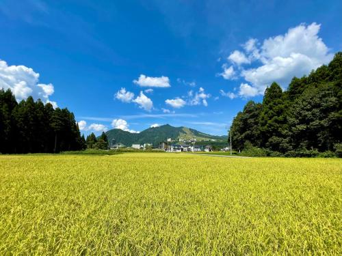 a field of green grass with mountains in the background at Spruce Cottage in Yuzawa