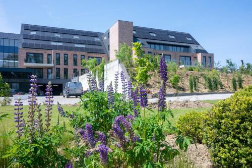 Foto Flanders Cobblestone 1