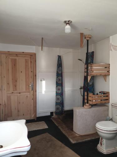 a bathroom with a toilet and a wooden door at Das! Boot auf dem Meer in Safaga 