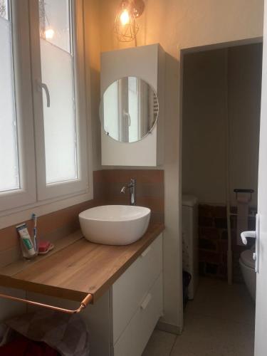 une salle de bain avec un lavabo et un miroir sur un comptoir dans l'établissement Grand studio 4 couchages Paris 14e, à Paris